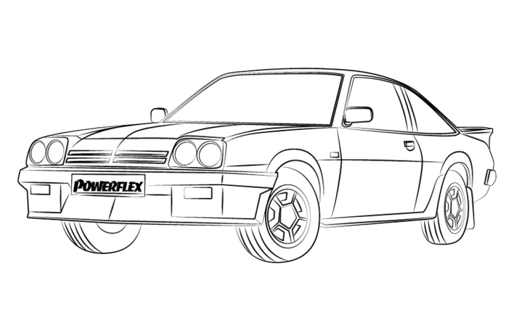 Manta B