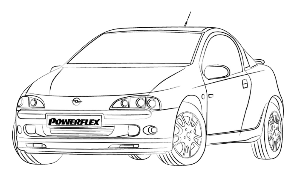 Tigra Models