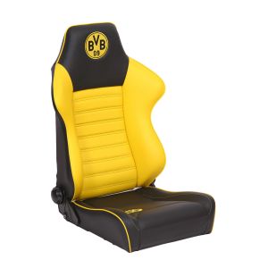 BVB 09