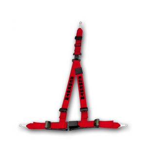 Schroth 3 Punts Gordel Rallye 3 ASM